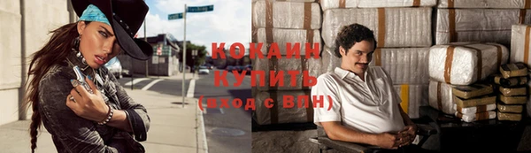 прущий лед Вяземский