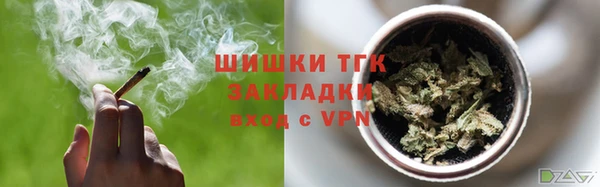 прущий лед Вяземский