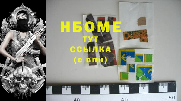 прущий лед Вяземский